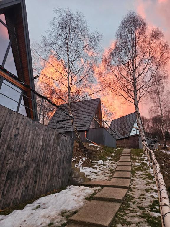 Cabanele A-frame la apus, printre mesteceni